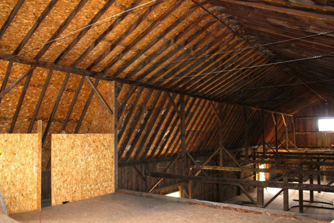 3526 West Lever Road Hart, MI 49420 - Photo 14 of 22 IMG_1917