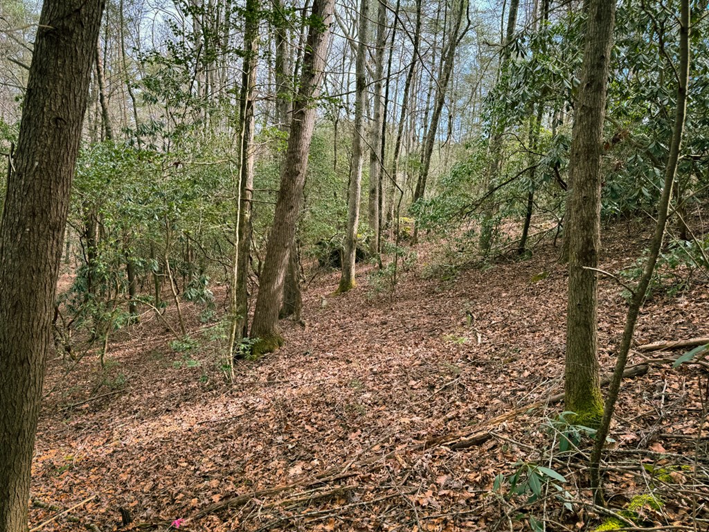 49-50 Hemlock Circle Blue Ridge, GA 30513 - Photo 5 of 17