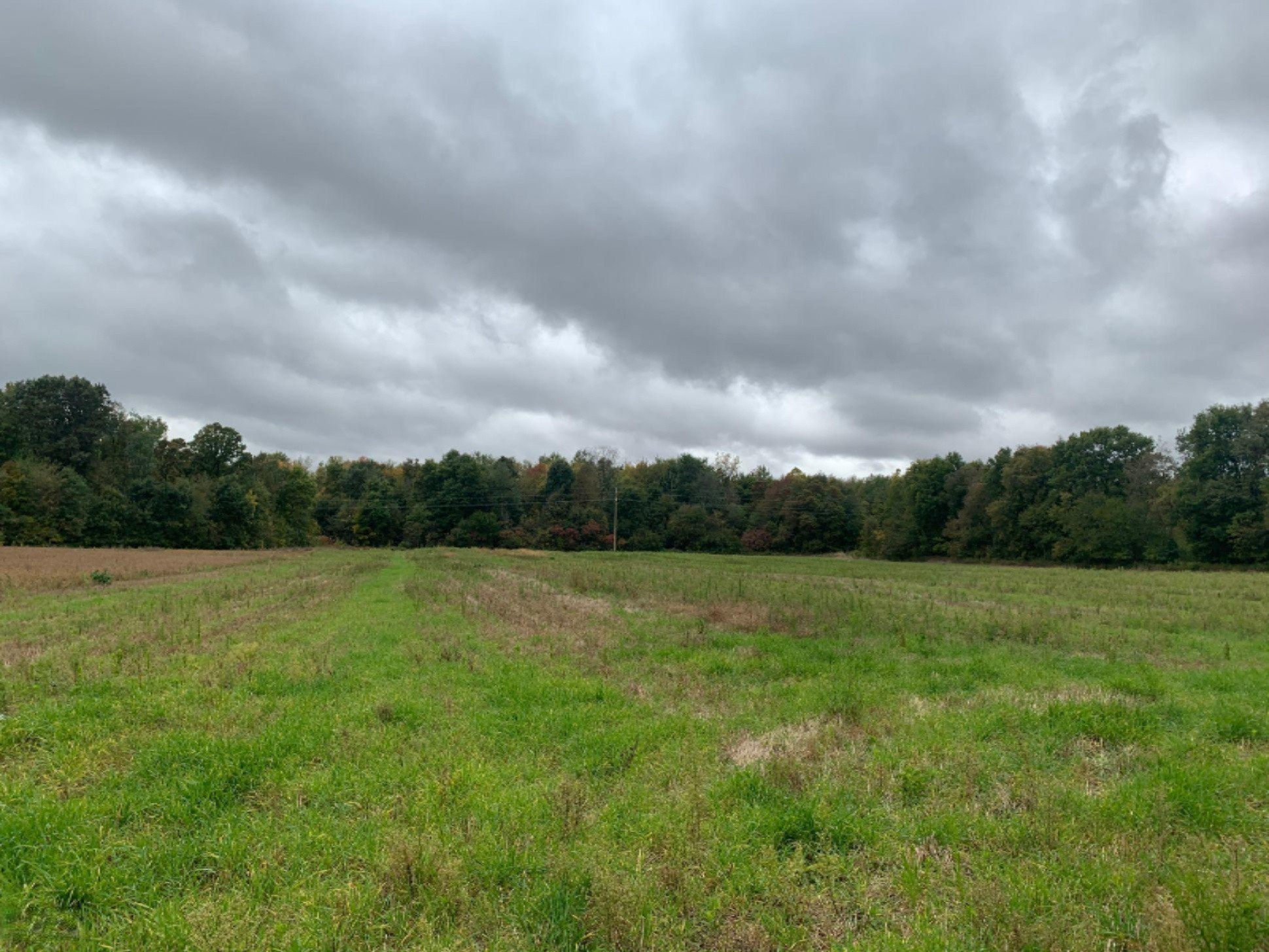 Marshall Road Coldwater, MI 49036 - Photo 2 of 14 IMG_3784