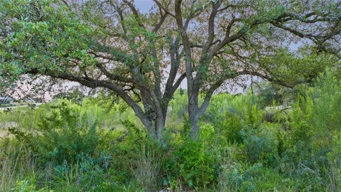 a backyard of a house with lots of trees