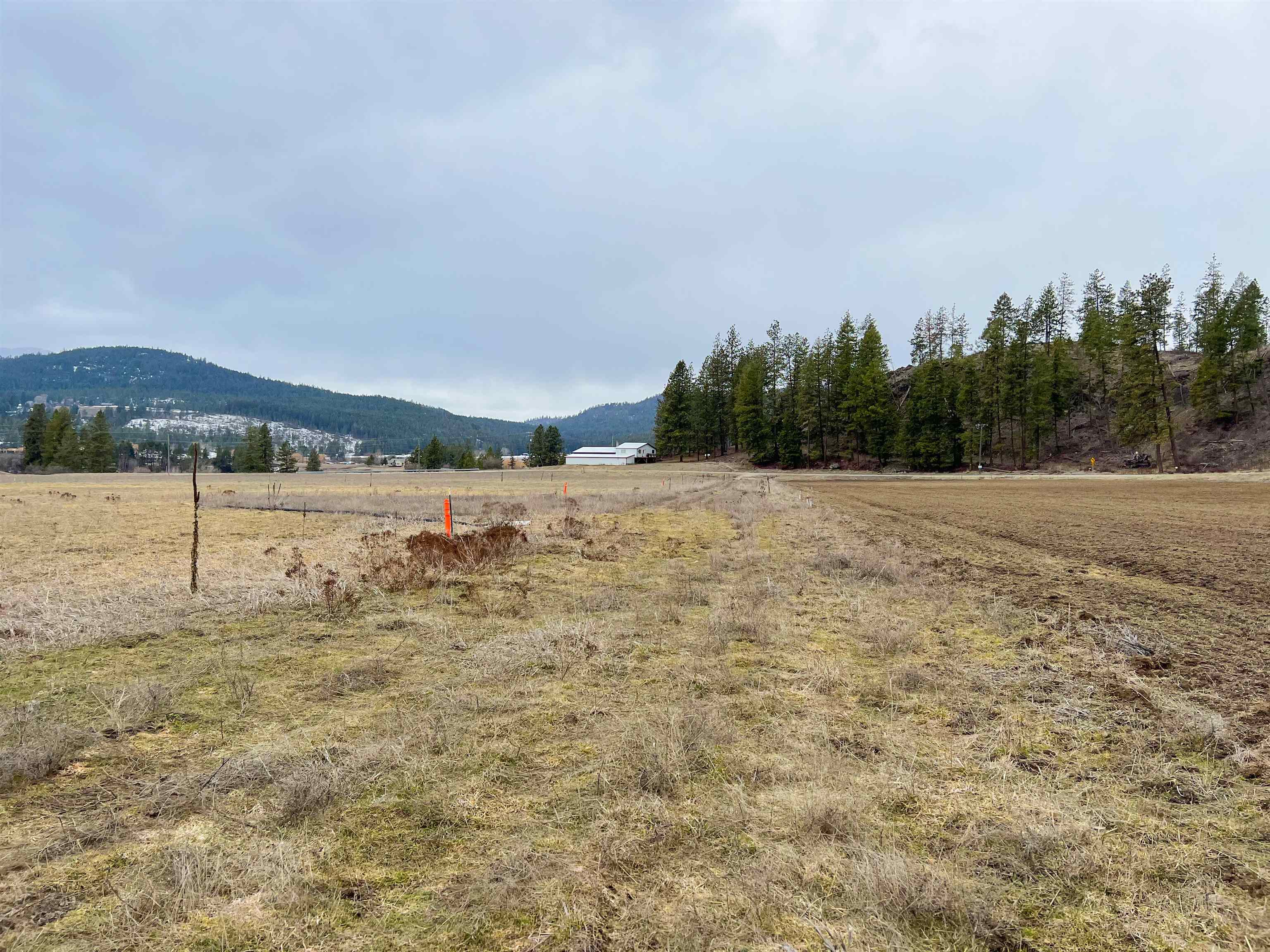 D- Lot 3 D- Road Chewelah, WA 99109 - Photo 14 of 15 Gallery Image 14