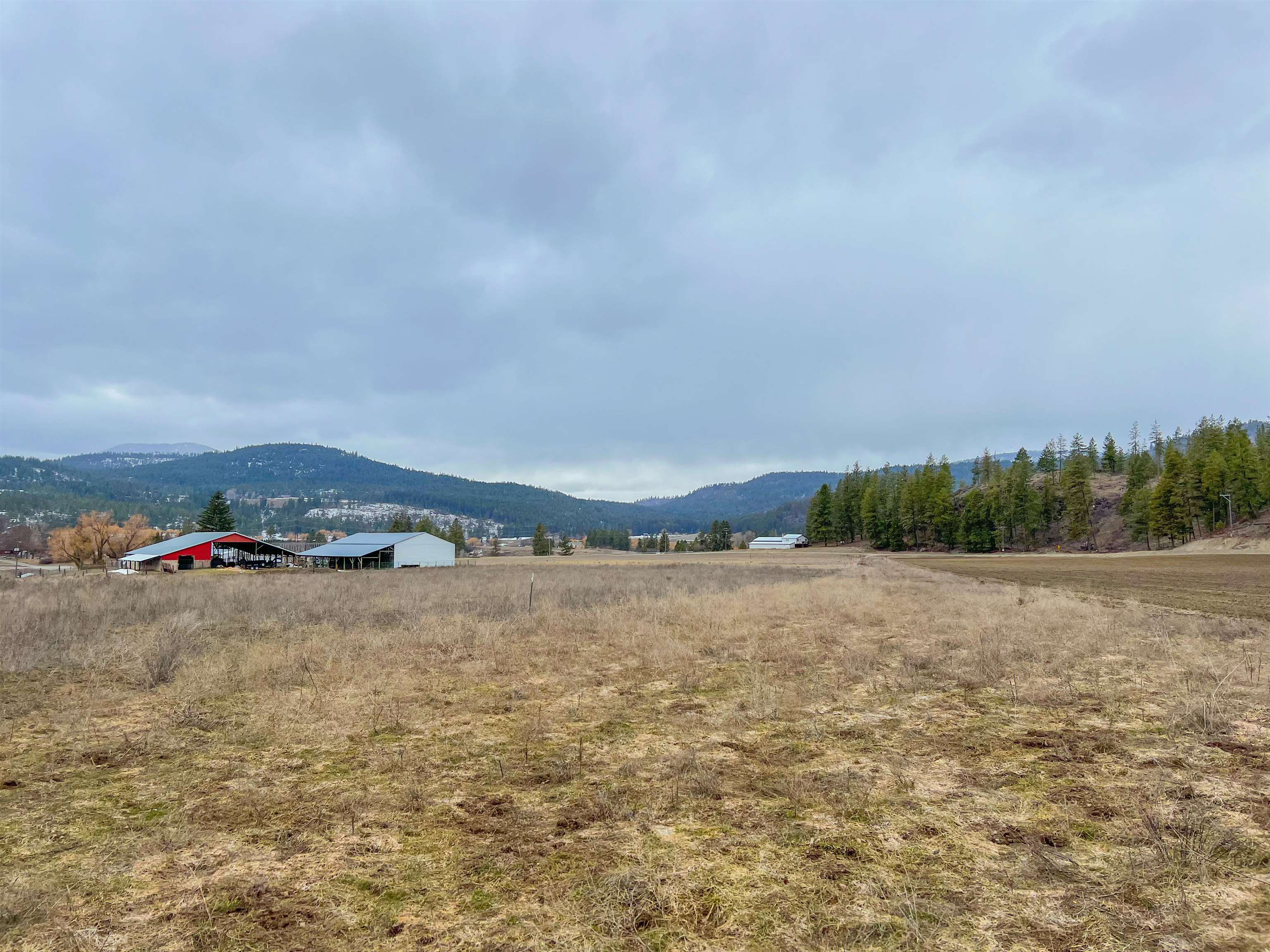 D- Lot 3 D- Road Chewelah, WA 99109 - Photo 15 of 15 Gallery Image 15