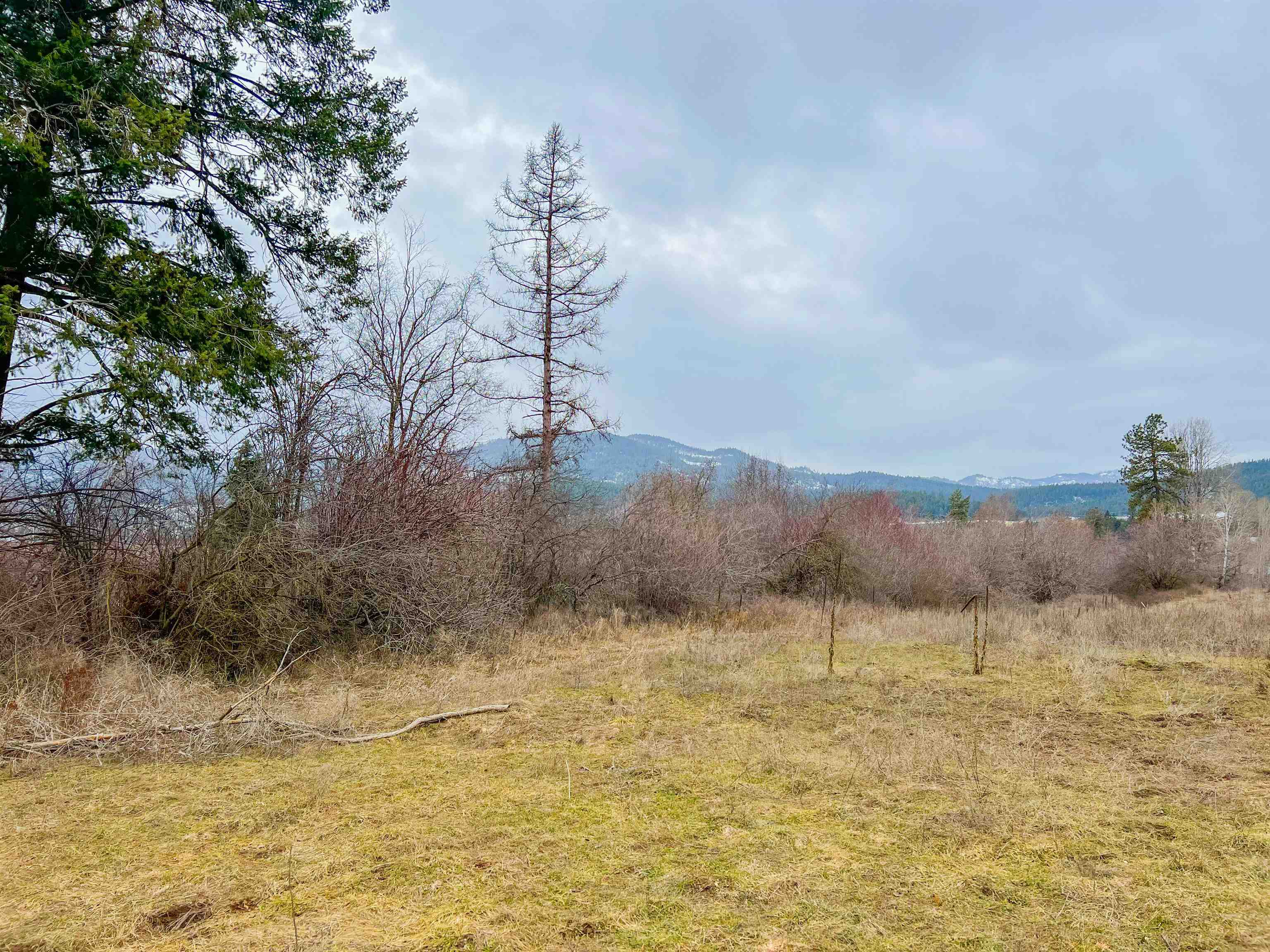 D- Lot 3 D- Road Chewelah, WA 99109 - Photo 4 of 15 Gallery Image 4