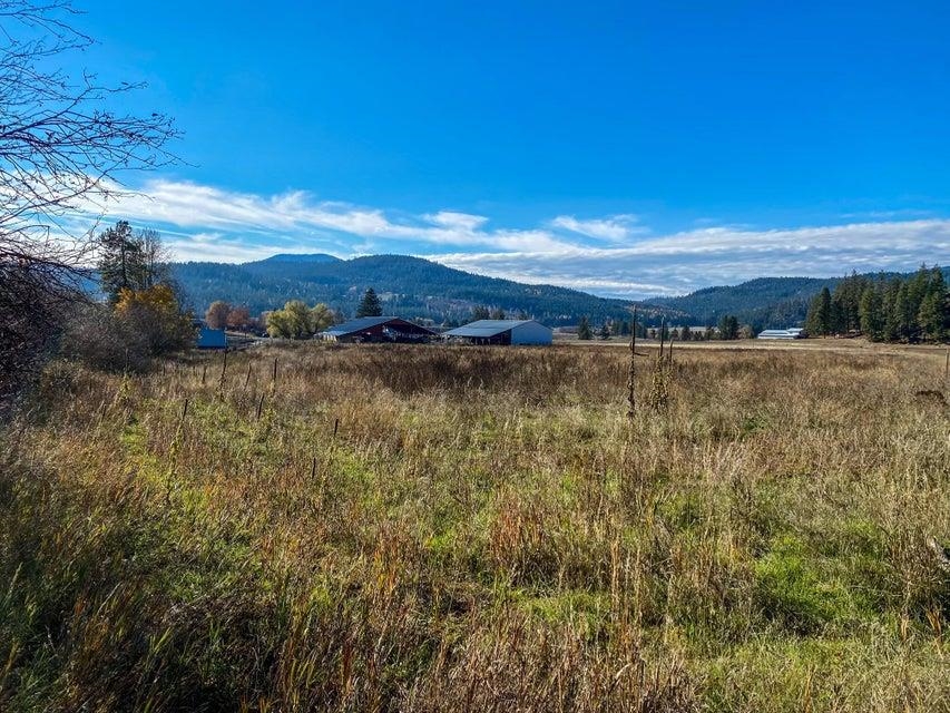 D- Lot 3 D- Road Chewelah, WA 99109 - Photo 5 of 15 Gallery Image 5