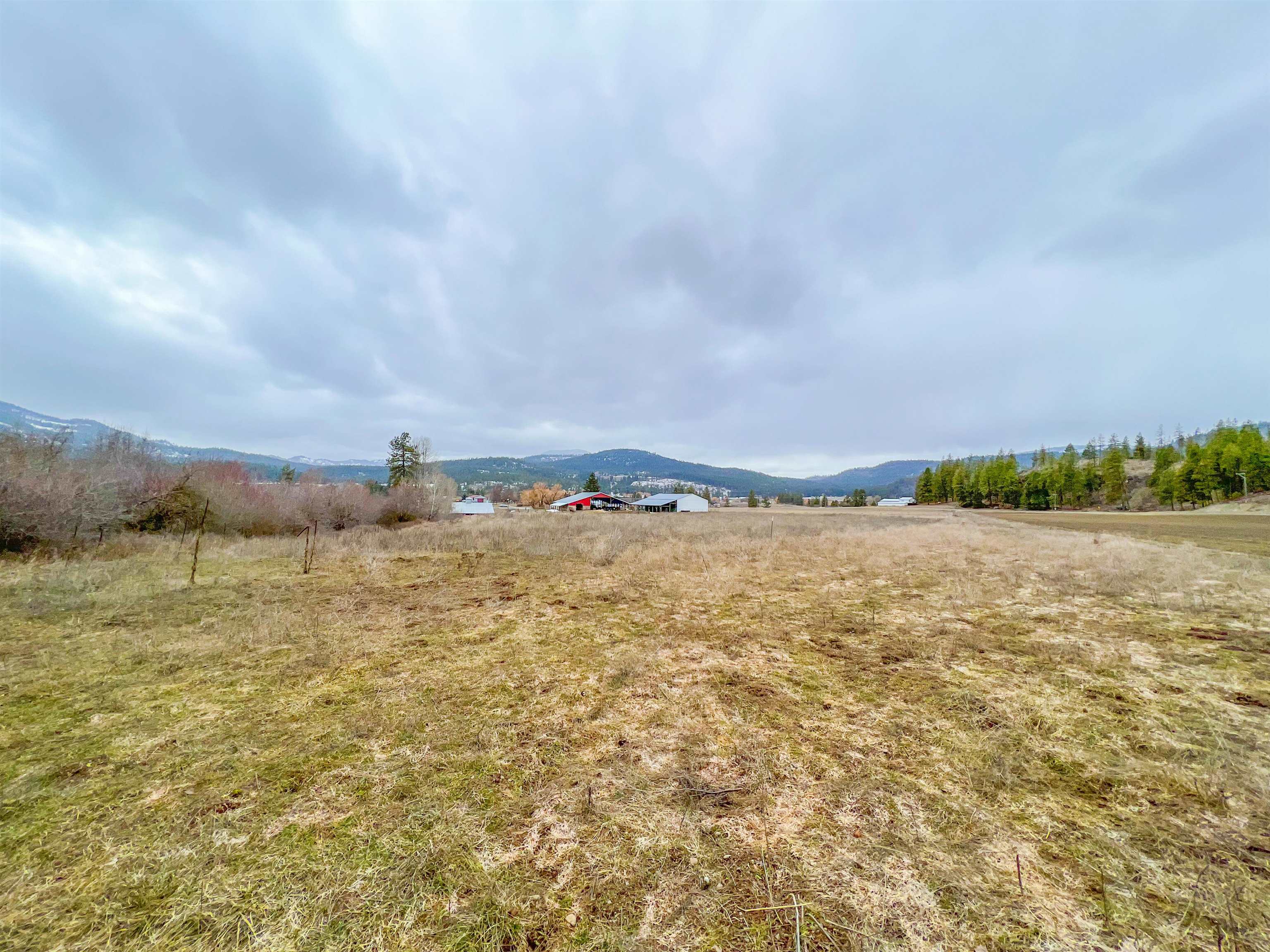 D- Lot 3 D- Road Chewelah, WA 99109 - Photo 7 of 15 Gallery Image 7