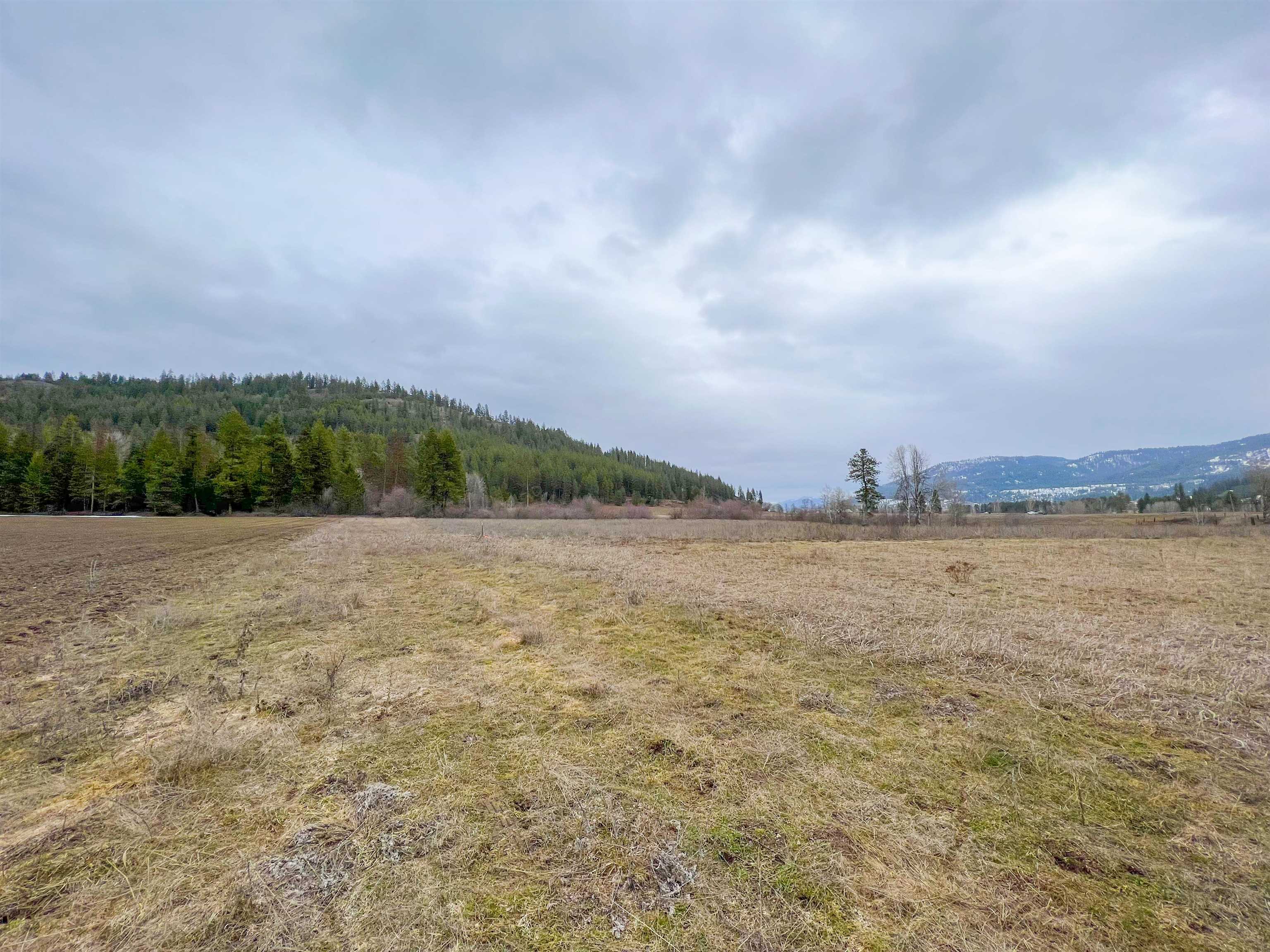 D- Lot 3 D- Road Chewelah, WA 99109 - Photo 9 of 15 Gallery Image 9