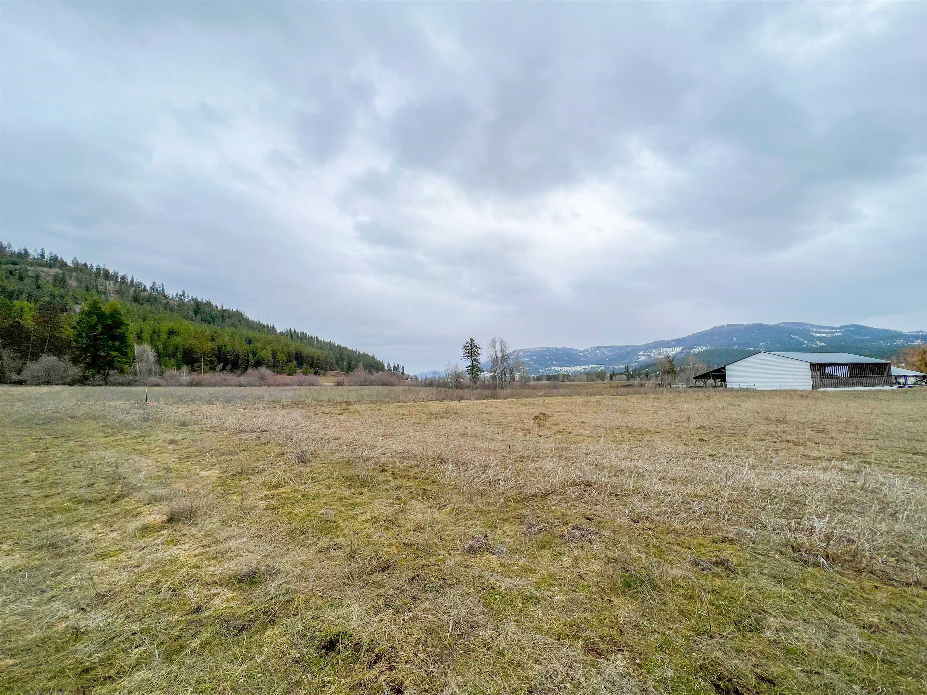 D- Lot 3 D- Road Chewelah, WA 99109 - Photo 10 of 15 Gallery Image 10