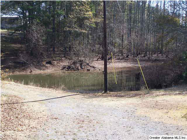 102 Chert Road Springville, AL 35146 - Photo 29 of 32