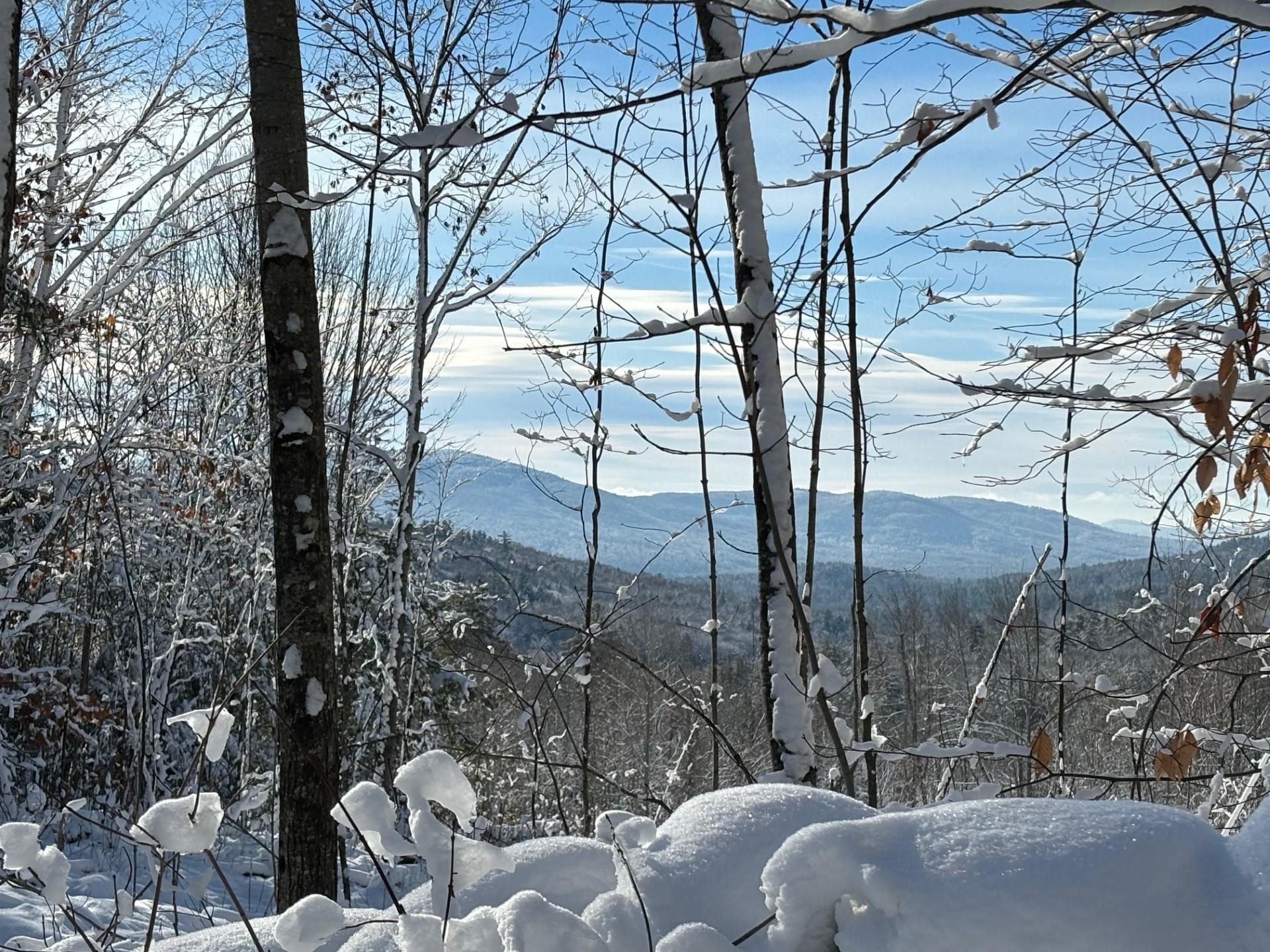 0 Cold Brook Road Freedom, NH 03836 - Photo 2 of 3