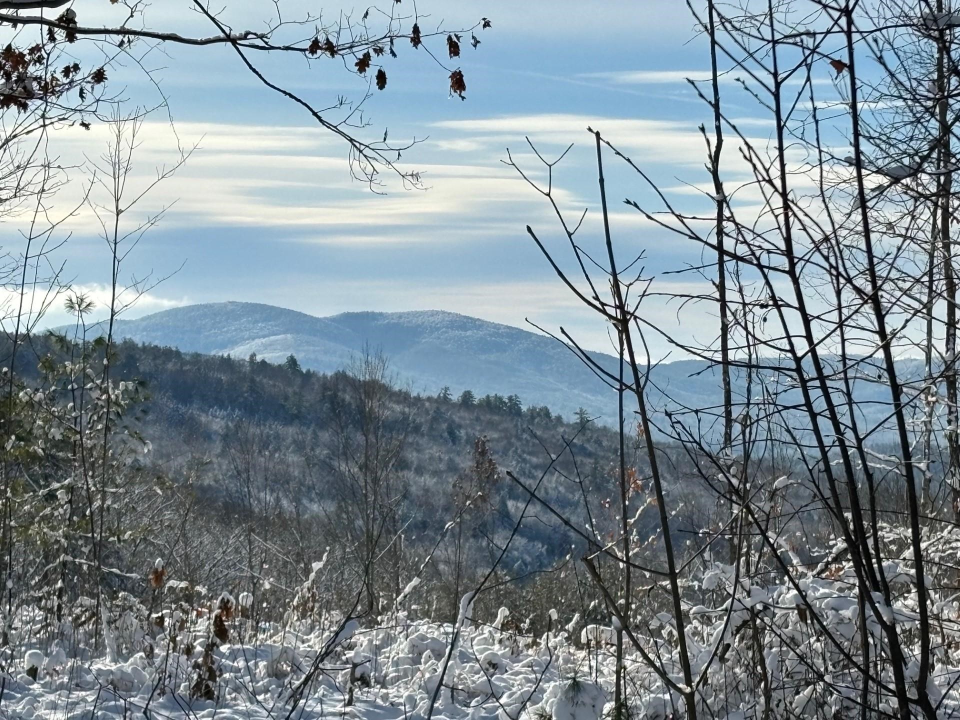 0 Cold Brook Road Freedom, NH 03836 - Photo 3 of 3