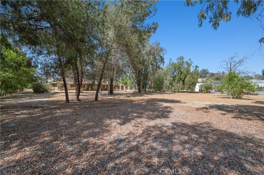 18561 Bert Road Riverside, CA 92508 - Photo 54 of 72 a view of outdoor space with trees
