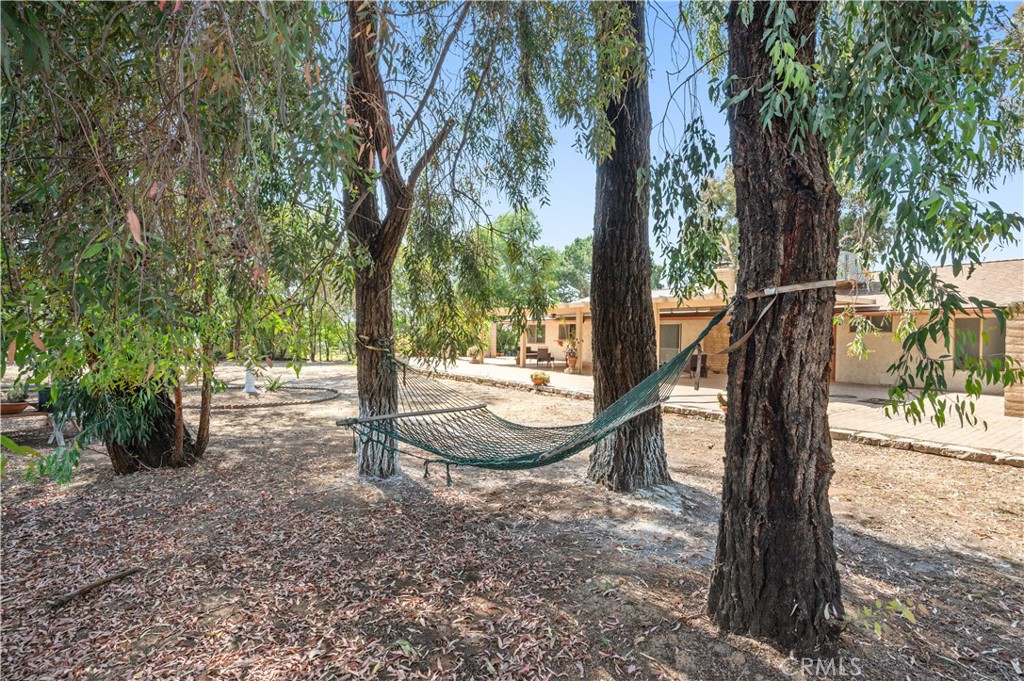 18561 Bert Road Riverside, CA 92508 - Photo 59 of 72 a view of a park with large trees