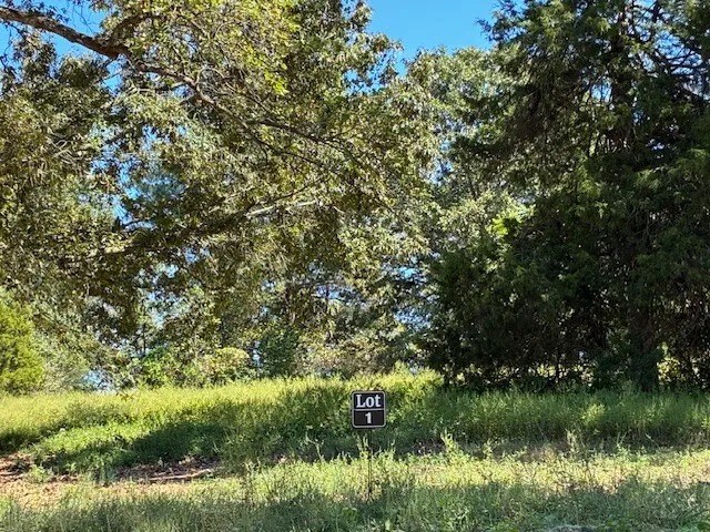 a view of a lake with top of green space
