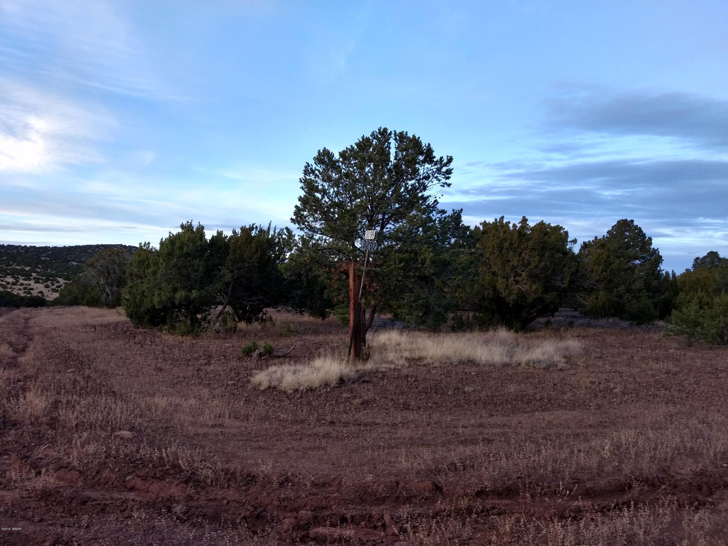 Tbd Hanging Tree Road Show Low, AZ 85901 - Photo 4 of 8