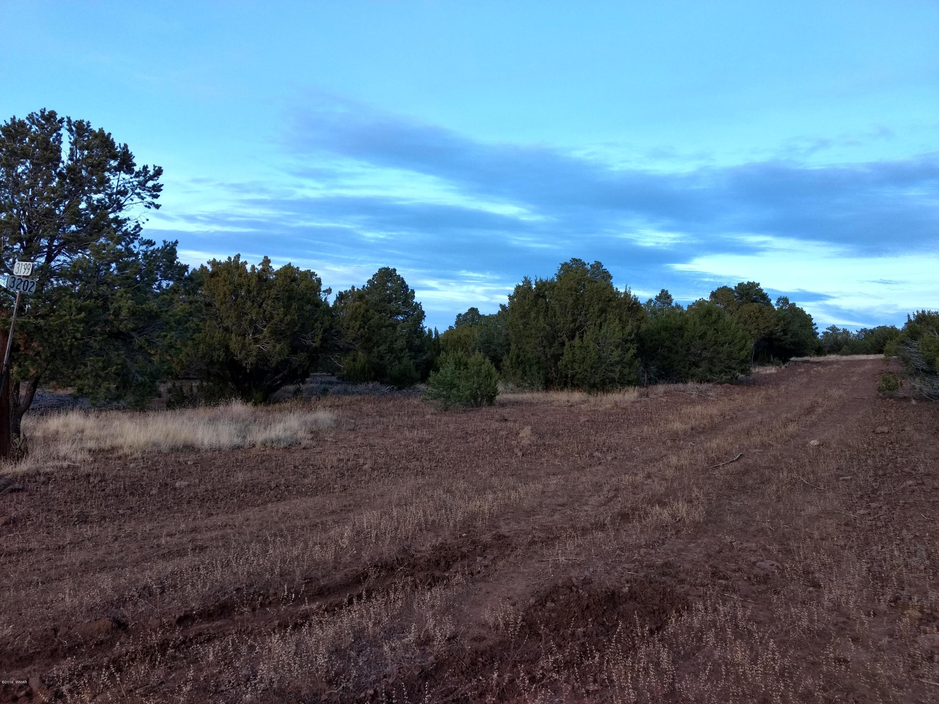 Tbd Hanging Tree Road Show Low, AZ 85901 - Photo 8 of 8