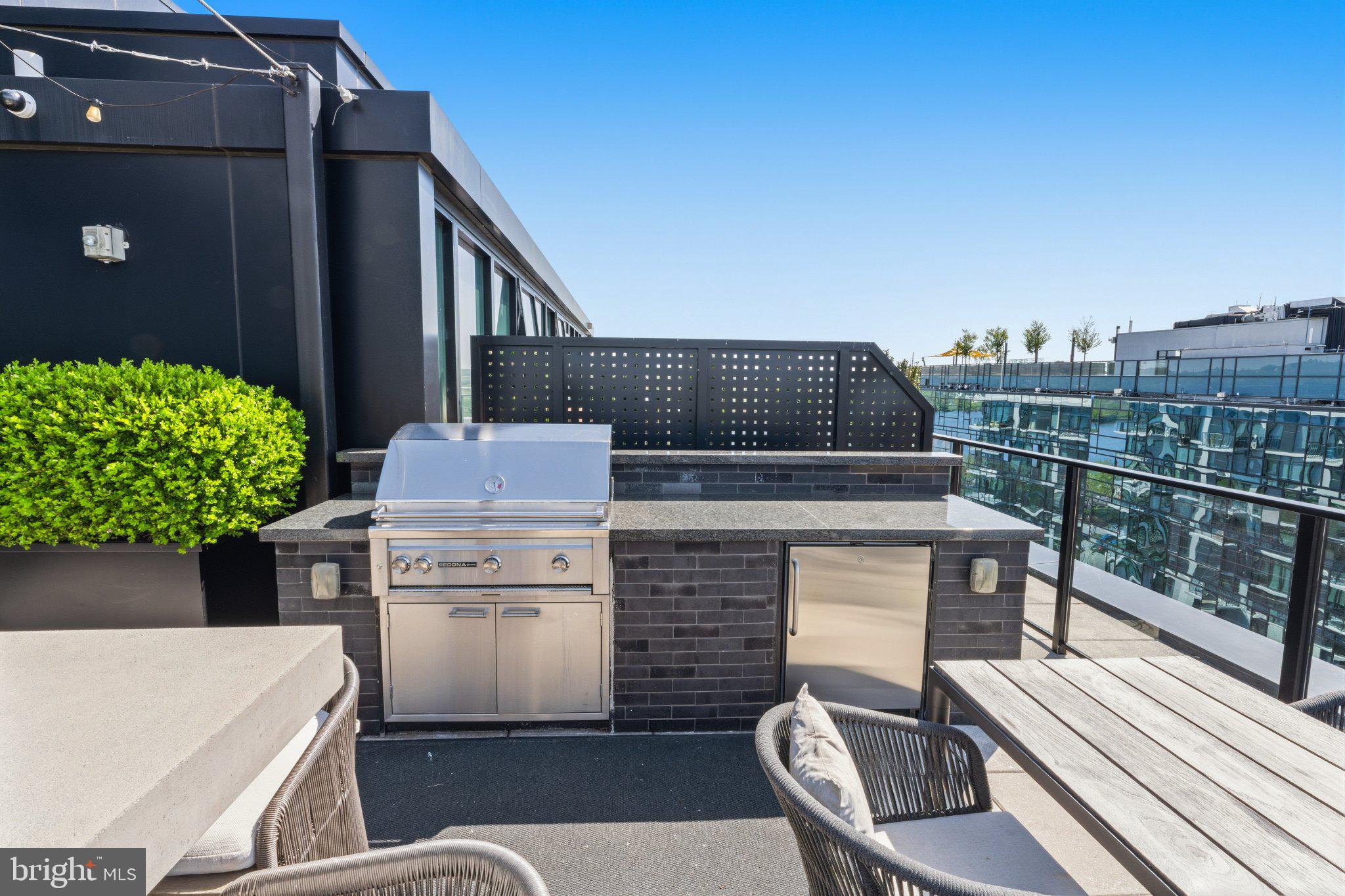 1300 4th Street Southeast, Unit 902 Washington, DC 20003 - Photo 50 of 68 Rooftop oasis with grilling station.