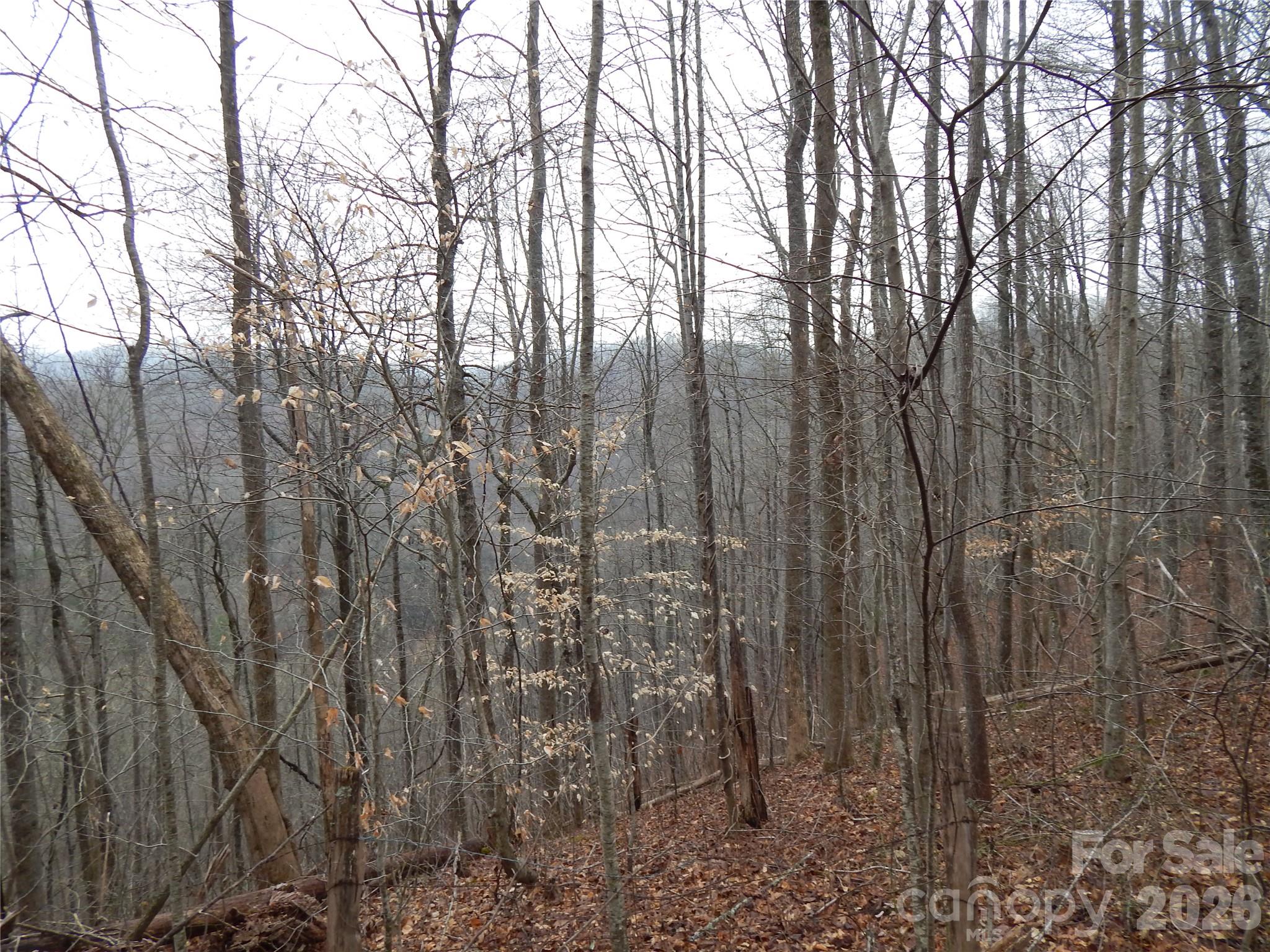 0 Henry Road Sylva, NC 28779 - Photo 16 of 25 Gallery Image 16