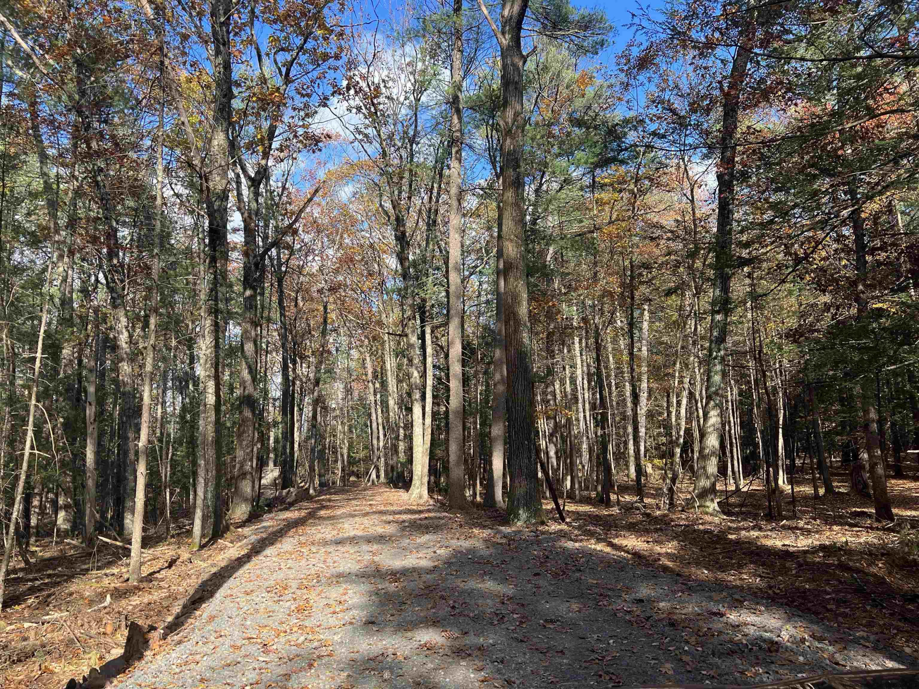 86 Goat Hill Road Saugerties, NY 12477 - Photo 5 of 16 Photo 5
