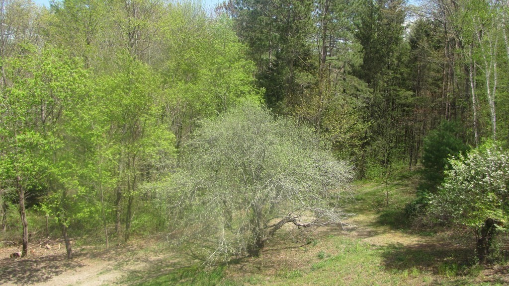 21 Wheeler Road Townsend, MA 01474 - Photo 34 of 40