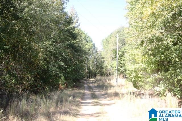 0 County Road 928, Unit 19 Delta, AL 36258 - Photo 28 of 43