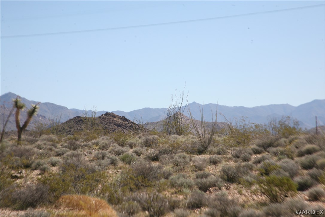 208-24-134 Cameron Road Yucca, AZ 86438 - Photo 59 of 86