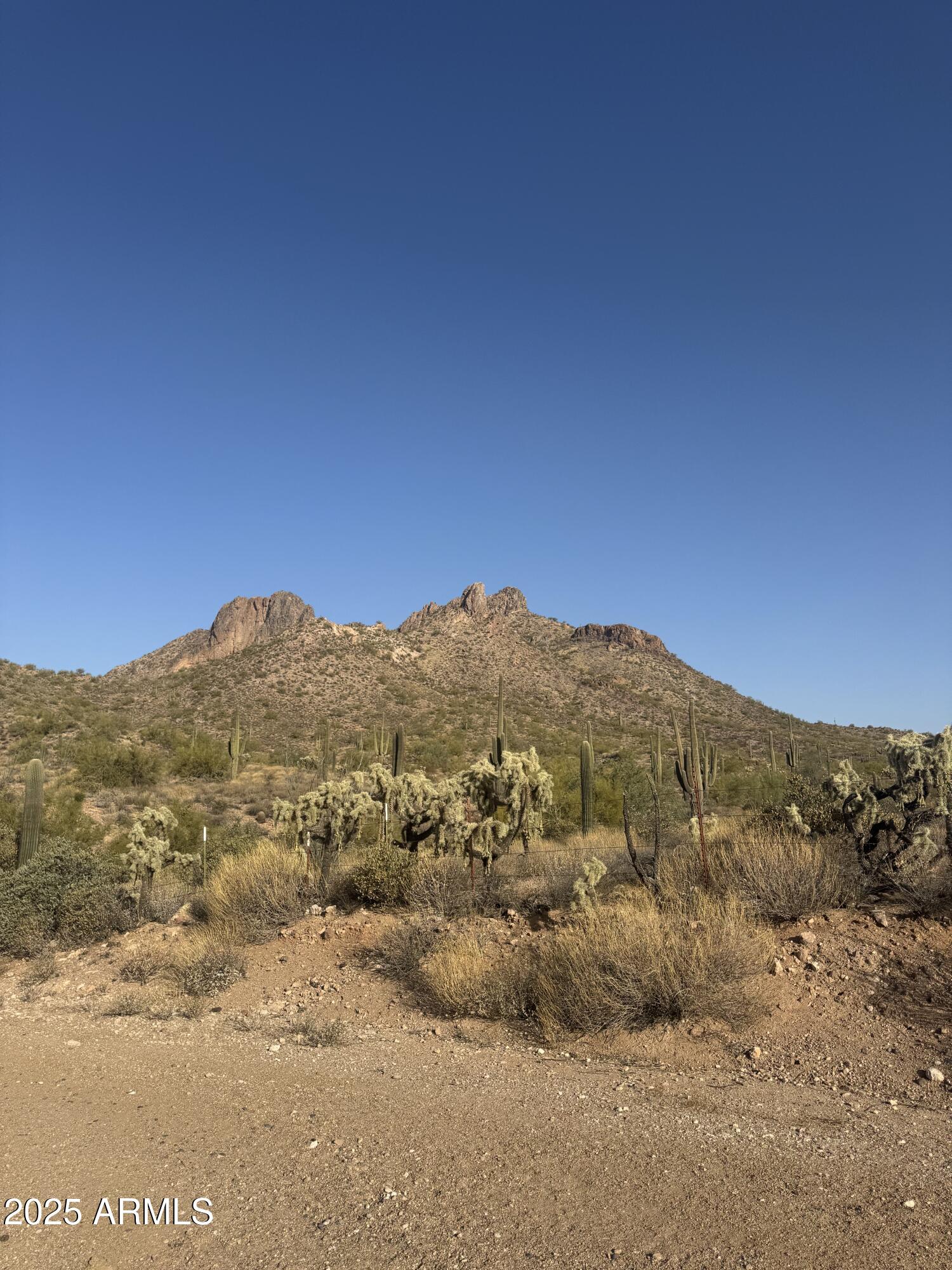 493 West McDowell Boulevard Apache Junction, AZ 85120 - Photo 2 of 29 a view of a mountain range in a cloudy sky