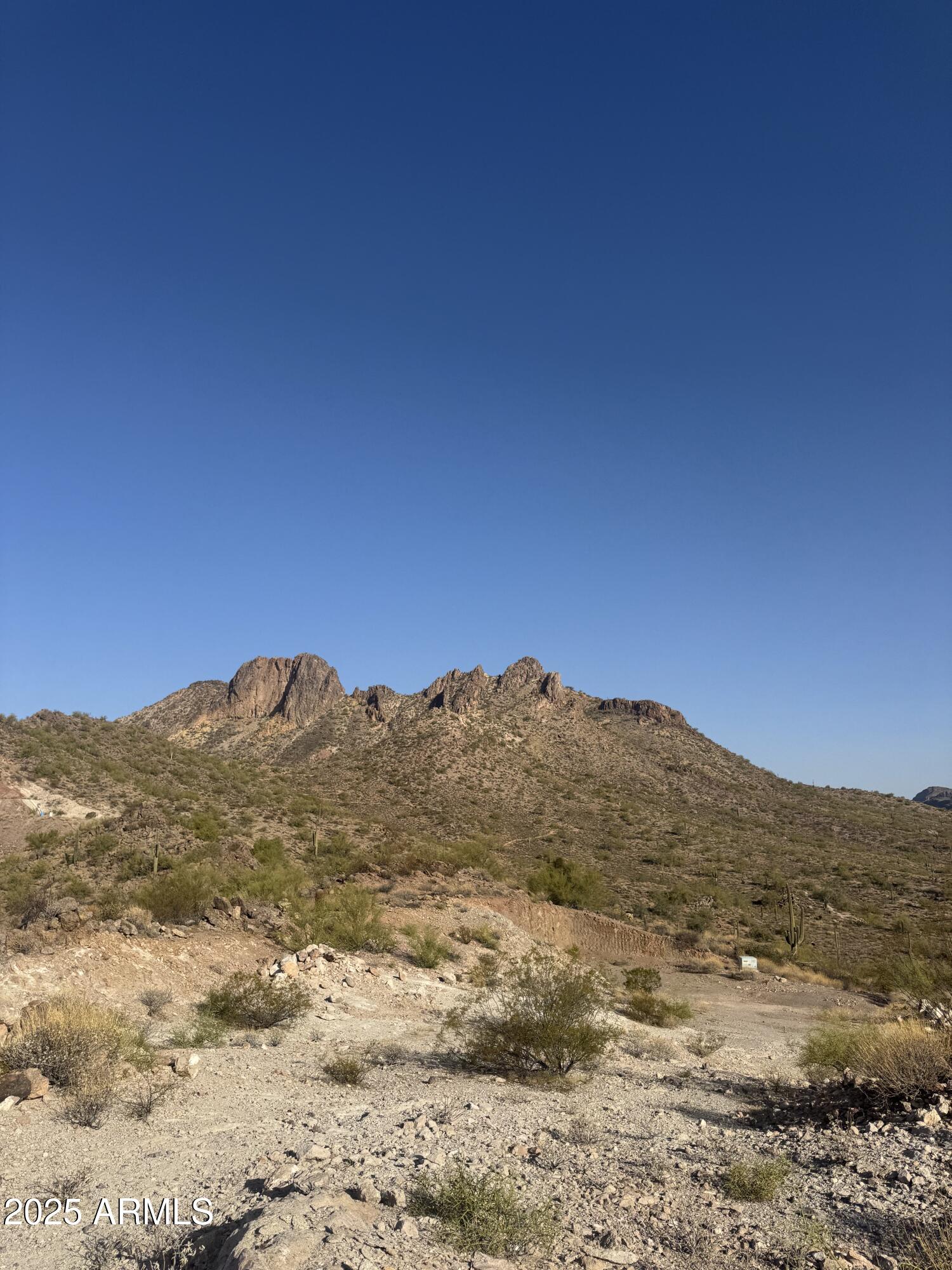 493 West McDowell Boulevard Apache Junction, AZ 85120 - Photo 6 of 29 a view of mountain
