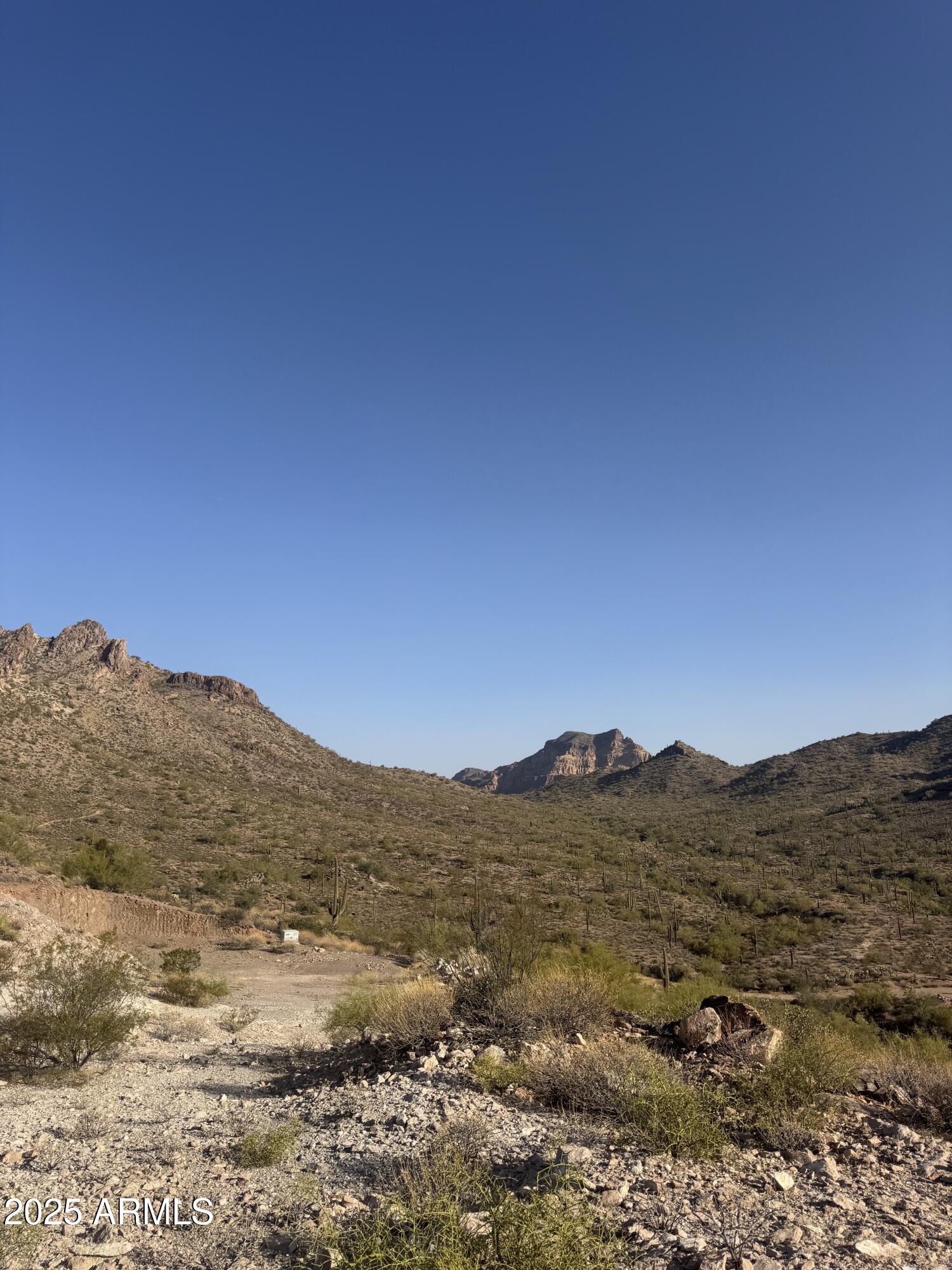 493 West McDowell Boulevard Apache Junction, AZ 85120 - Photo 9 of 29 a view of mountain