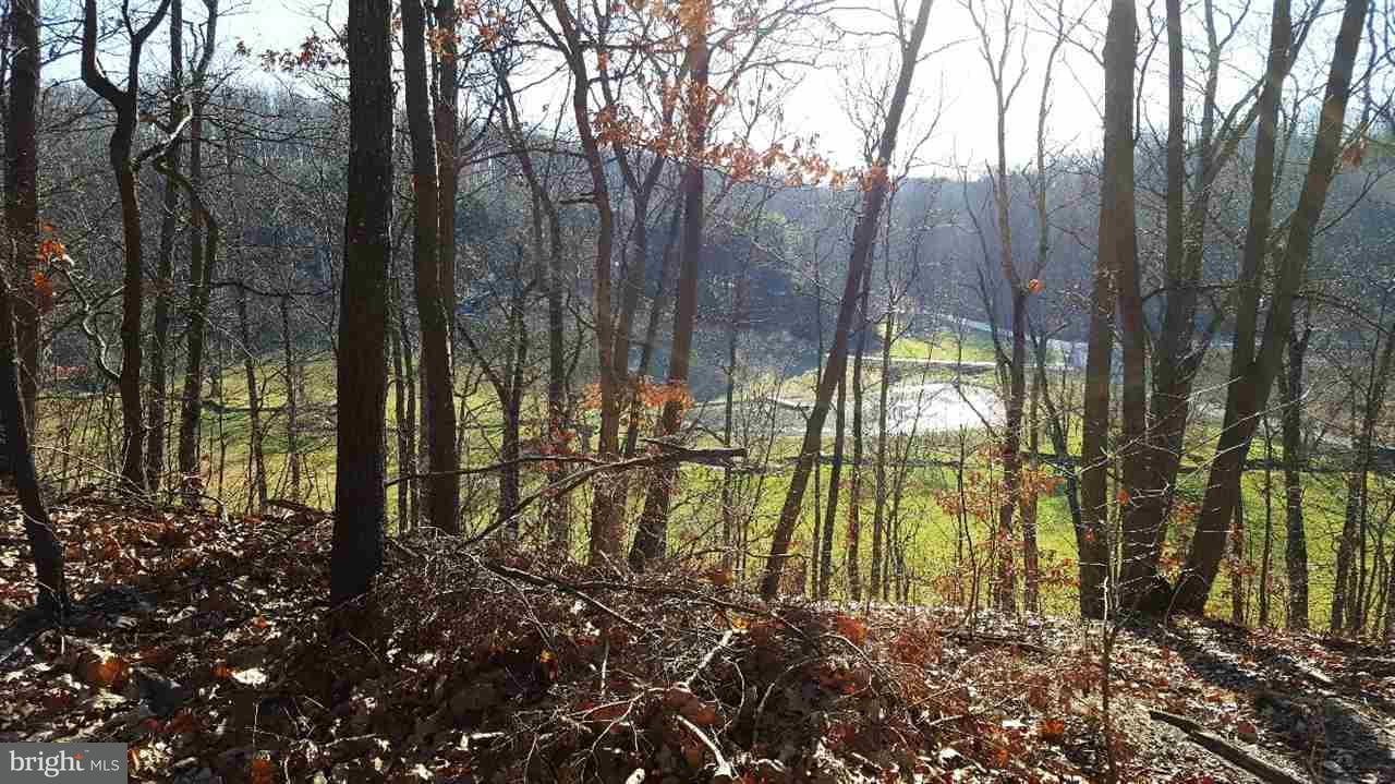 490 Musselman Road Hanover, PA 17331 - Photo 2 of 9