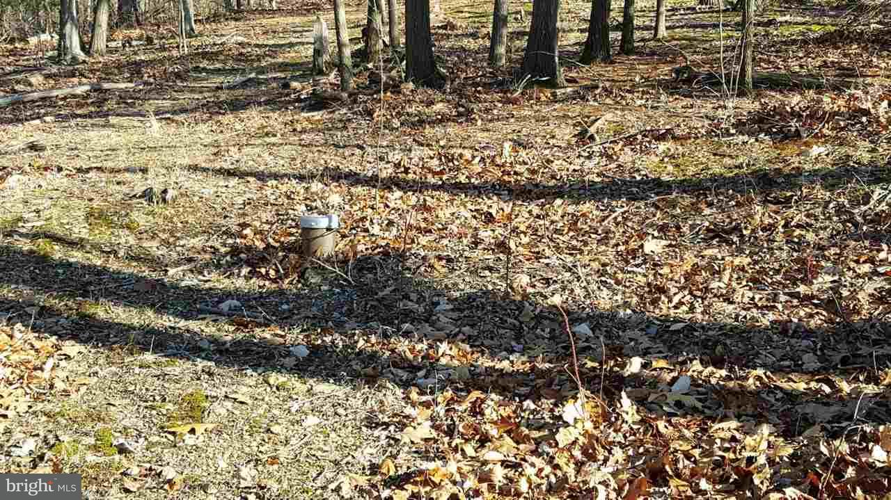 490 Musselman Road Hanover, PA 17331 - Photo 6 of 9