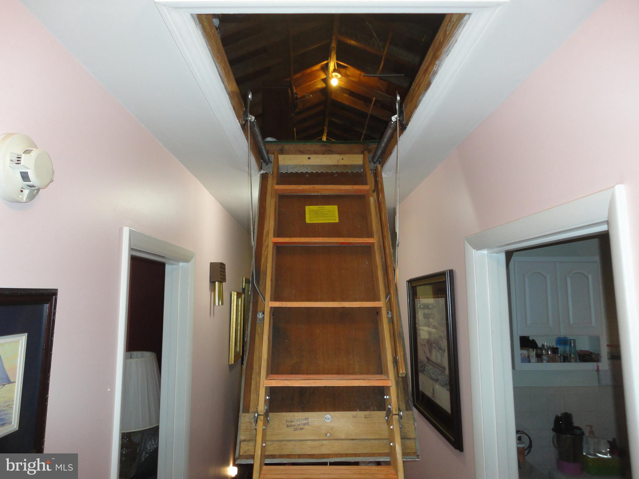 1972 Fairfax Road Annapolis, MD 21401 - Photo 22 of 30 Pull-down Stairs To Floored Attic