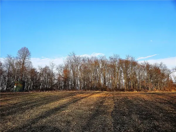 a view of dirt field with trees in background