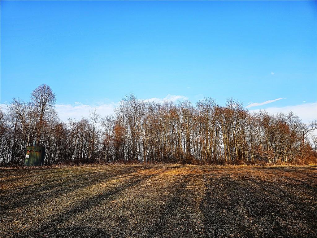0 Blackleggs Road Shelocta, PA 15774 - Photo 2 of 8 a view of dirt field with trees in background