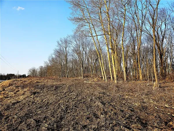 a big yard with lots of green space