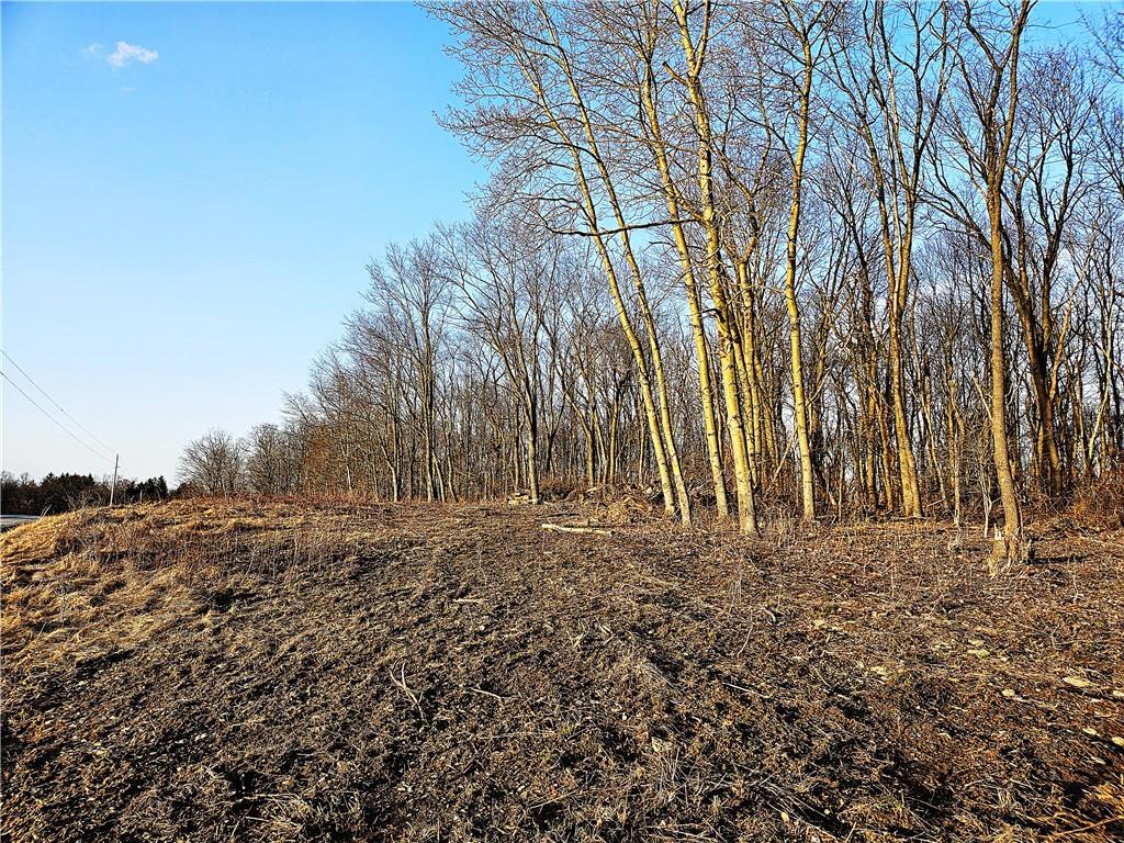 0 Blackleggs Road Shelocta, PA 15774 - Photo 4 of 8 a big yard with lots of green space
