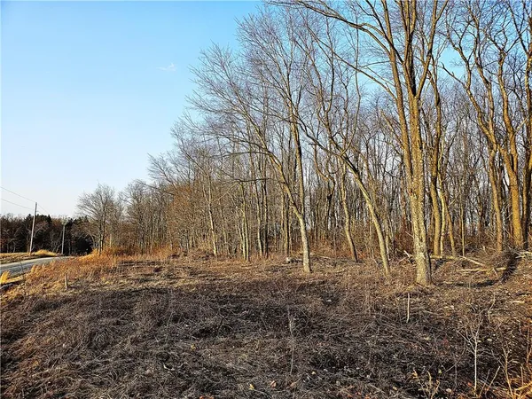 a view of backyard with green space