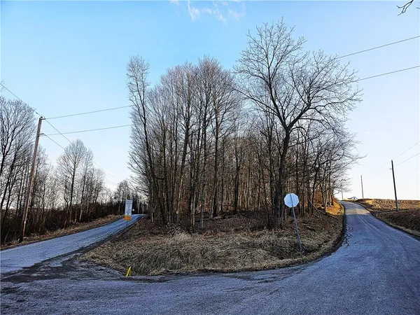 a view of a backyard with large trees