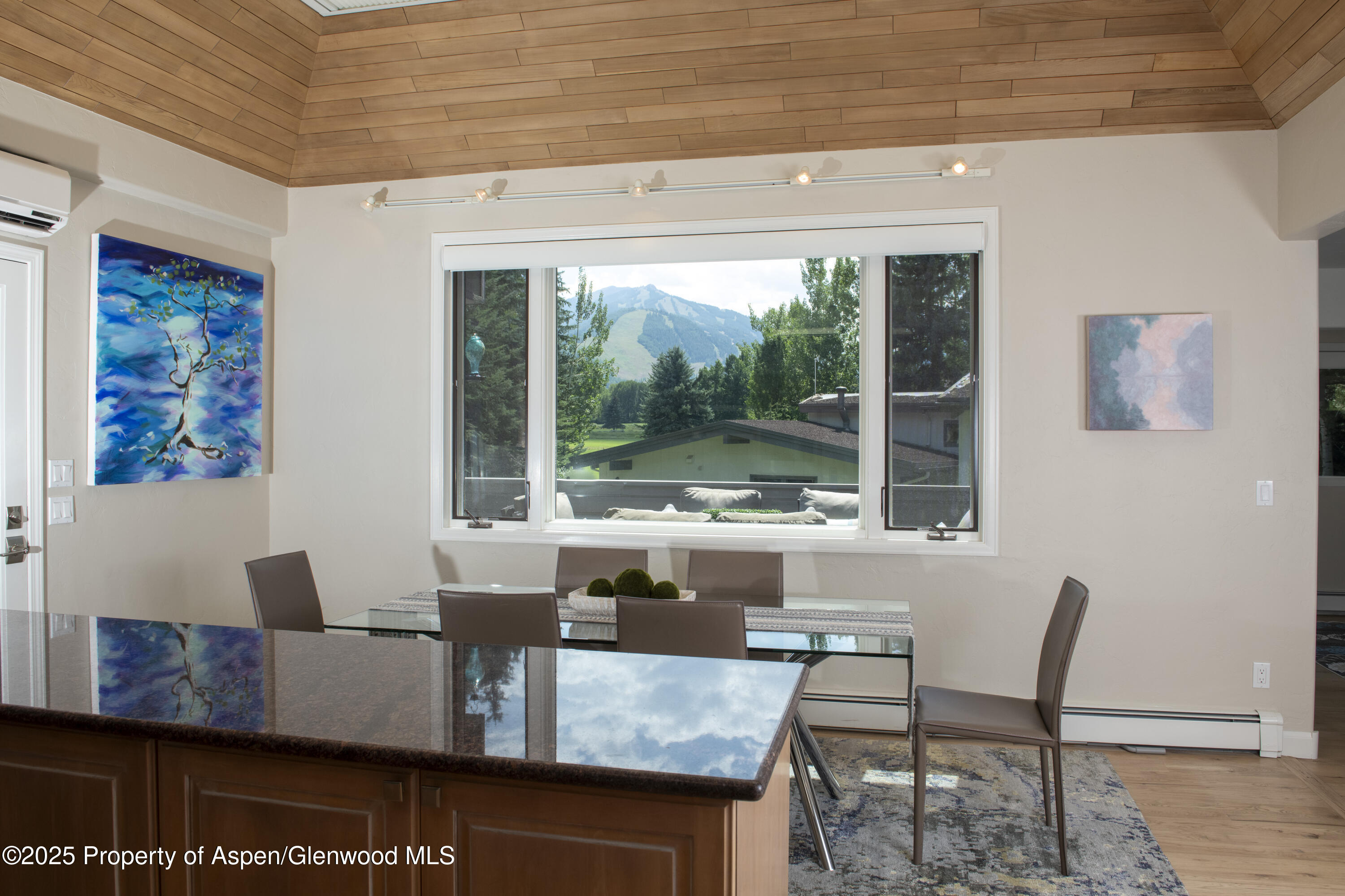 1417 Sierra Vista Drive Aspen, CO 81611 - Photo 8 of 37 a living room with furniture and a large window