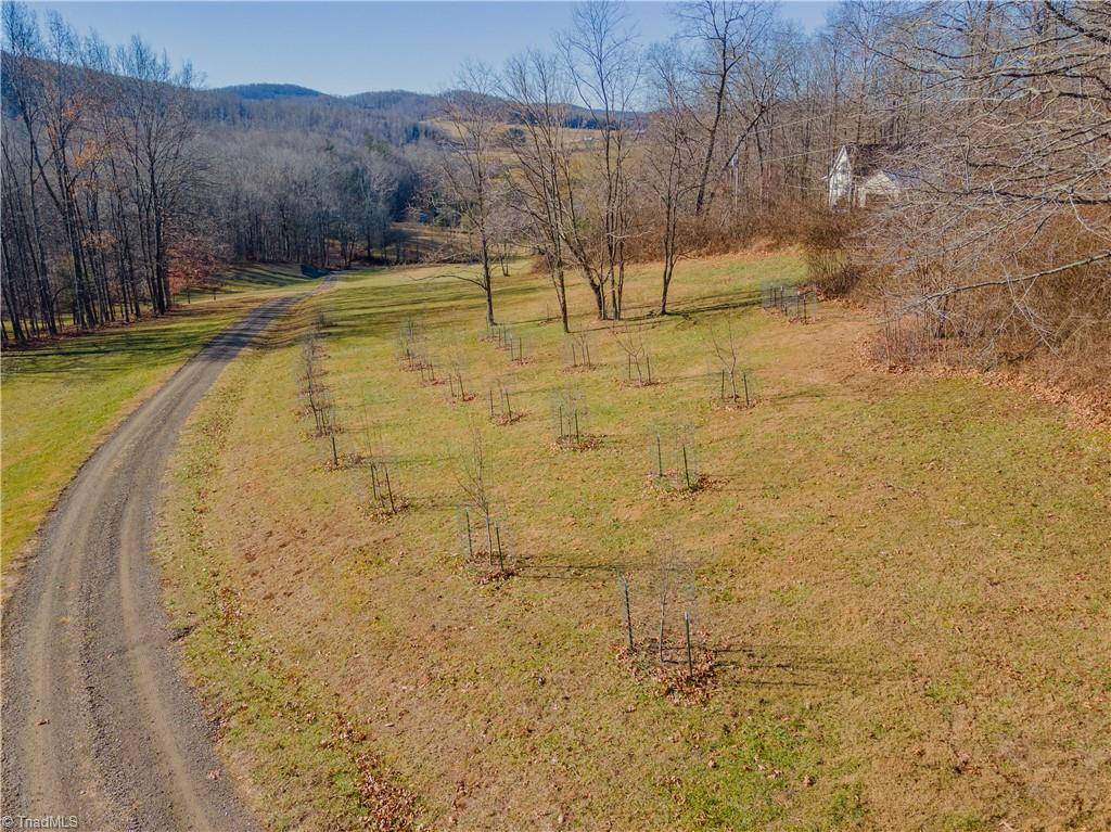 367 Cannadays Gap Road Northeast Floyd, VA 24091 - Photo 40 of 44 Gallery Image 40