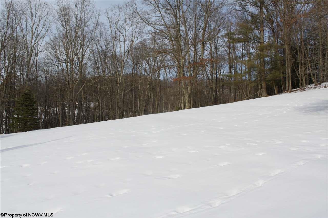 656 Given Run Upperglade, WV 26266 - Photo 22 of 24 Gallery Image 22
