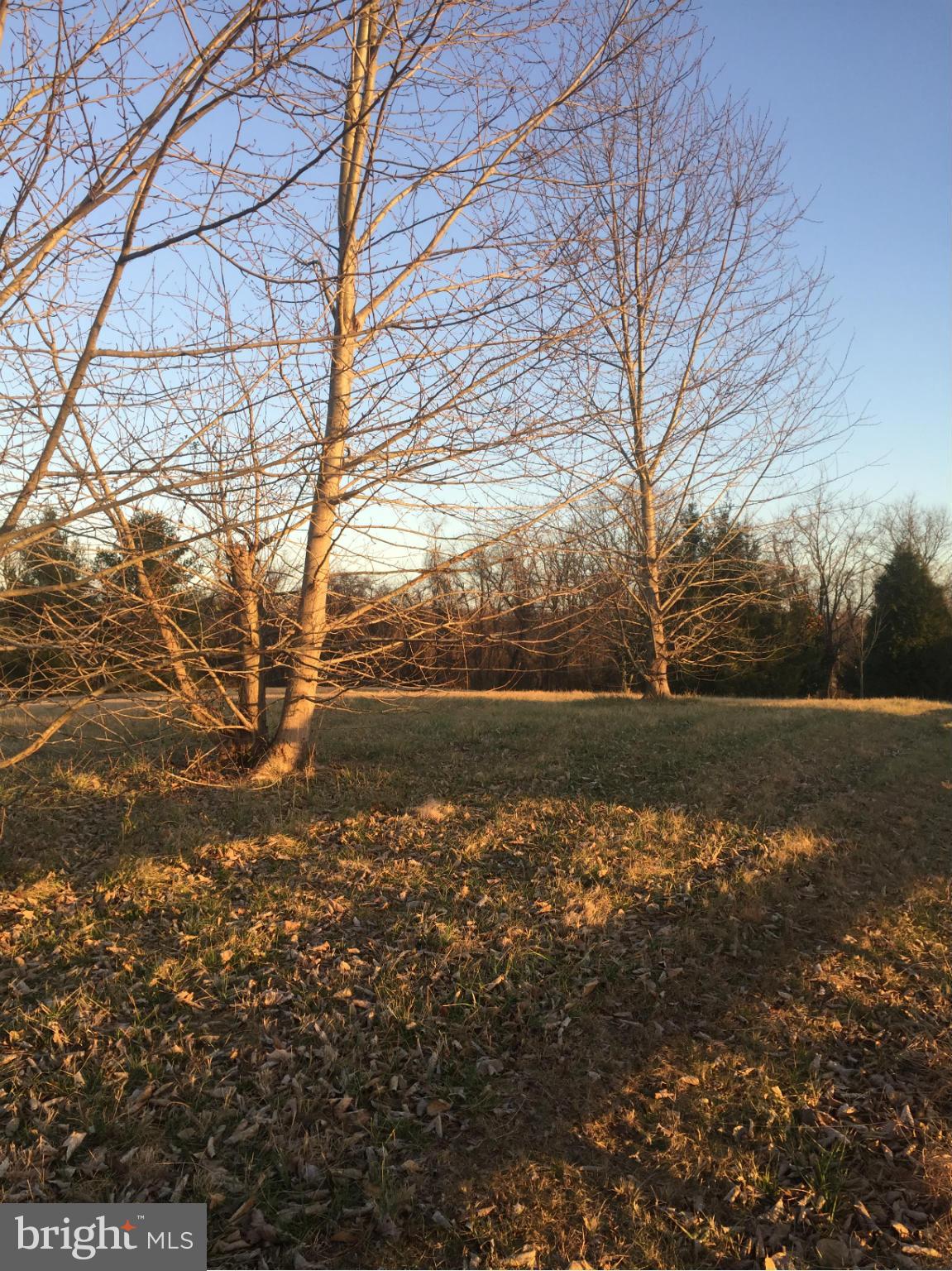 202 West Bay Front Road Lothian, MD 20711 - Photo 18 of 25 View