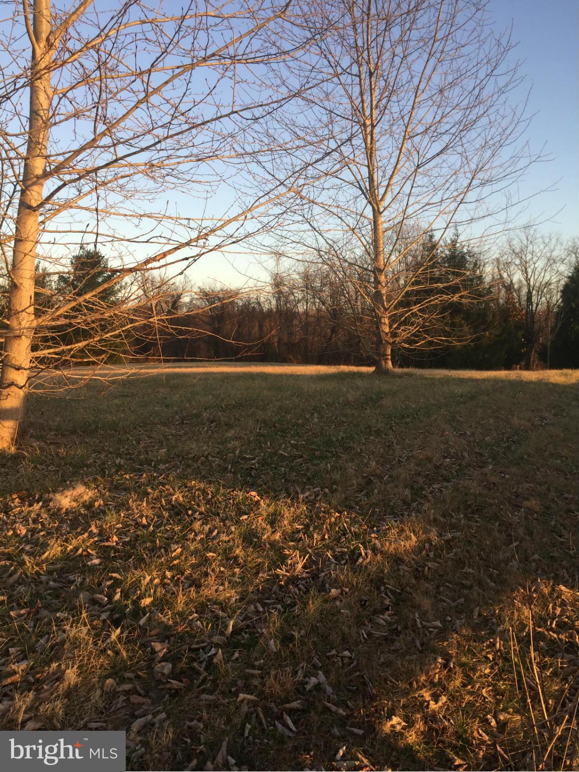 202 West Bay Front Road Lothian, MD 20711 - Photo 23 of 25 View