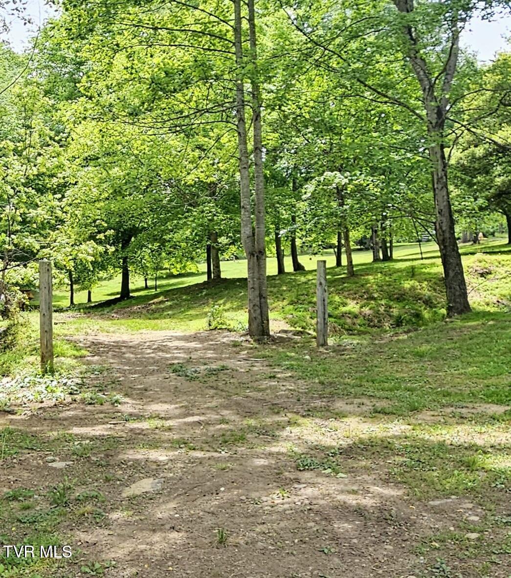 13544 Revera Drive Mendota, VA 24270 - Photo 56 of 58 Revera-driveway to parcel2