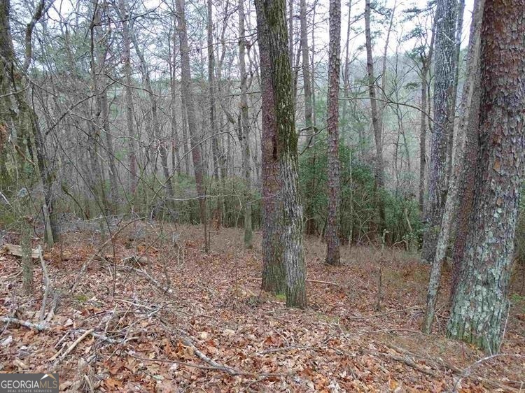 0 Valhalla Drive Cleveland, GA 30528 - Photo 2 of 3 a view of a forest with trees in the background