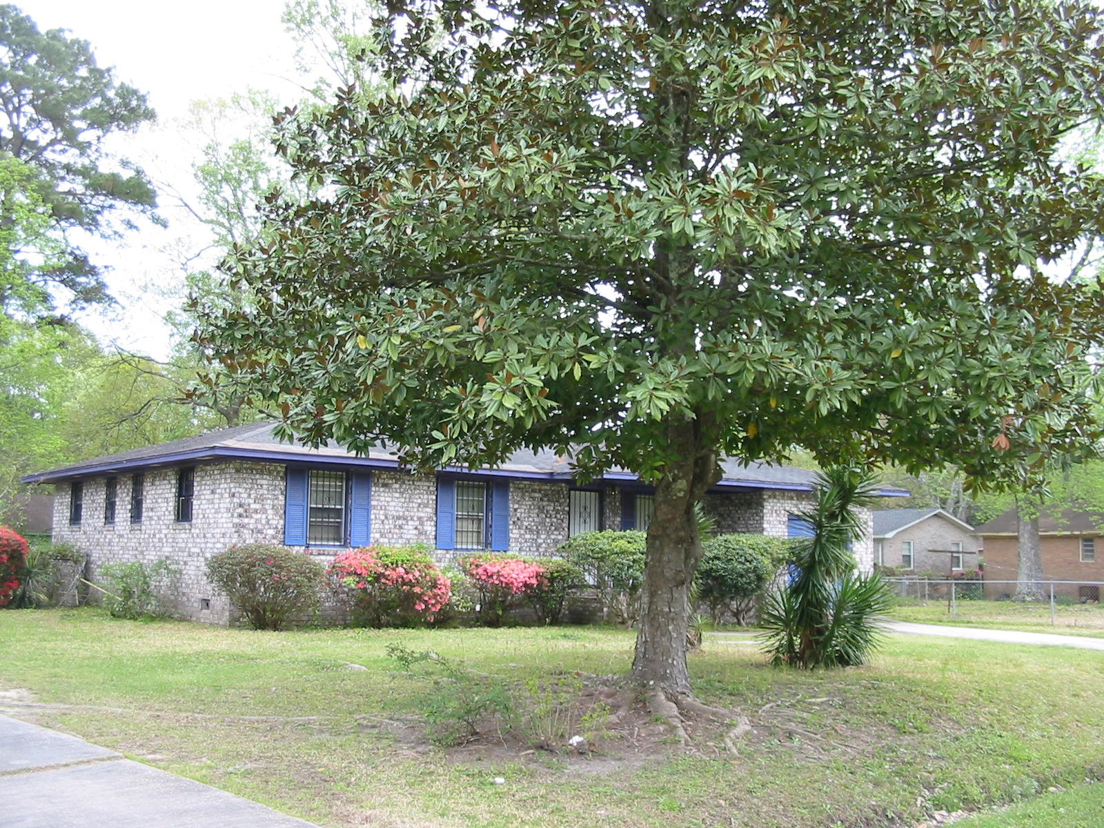 708 Hitching Post Road Charleston, SC 29414 - Photo 3 of 14 Mature landscaping