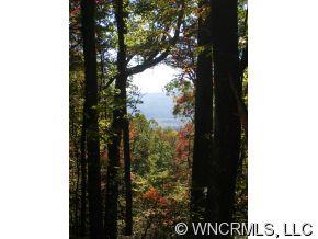 9 Long Branch Road, Unit CAMP 9 Brevard, NC 28712 - Photo 3 of 8