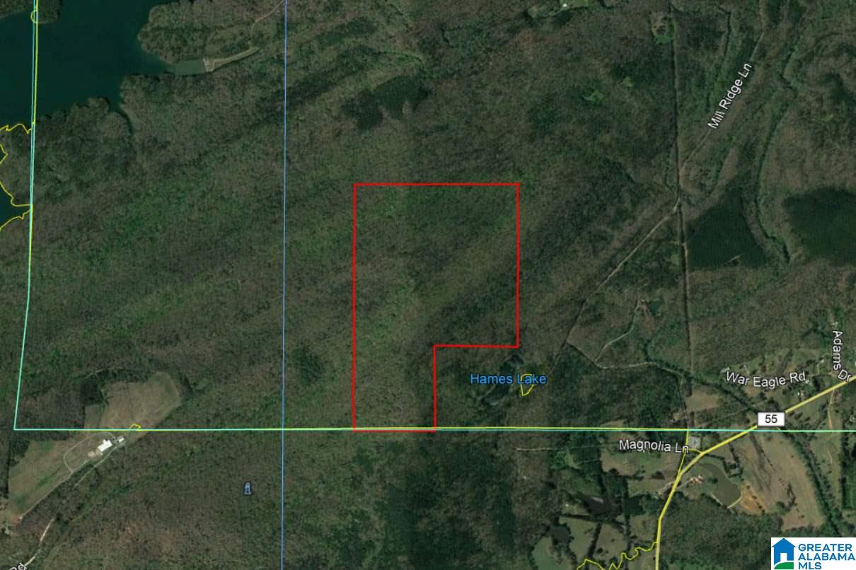 200-acres High Road, Unit 200 ACRES Pell City, AL 35128 - Photo 2 of 17