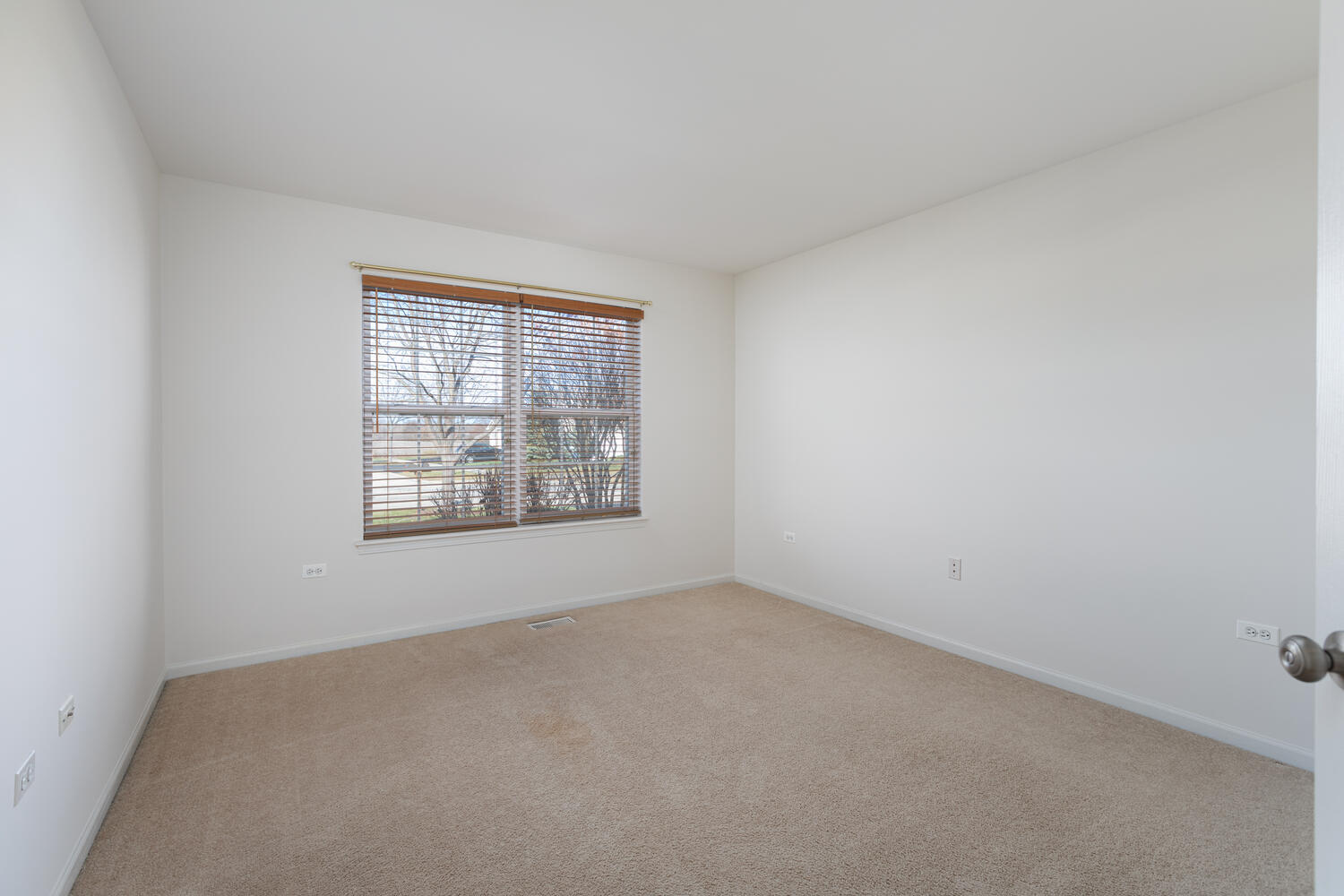 31 Rolling Oaks Road, Unit A Sugar Grove, IL 60554 - Photo 20 of 25 an empty room with windows