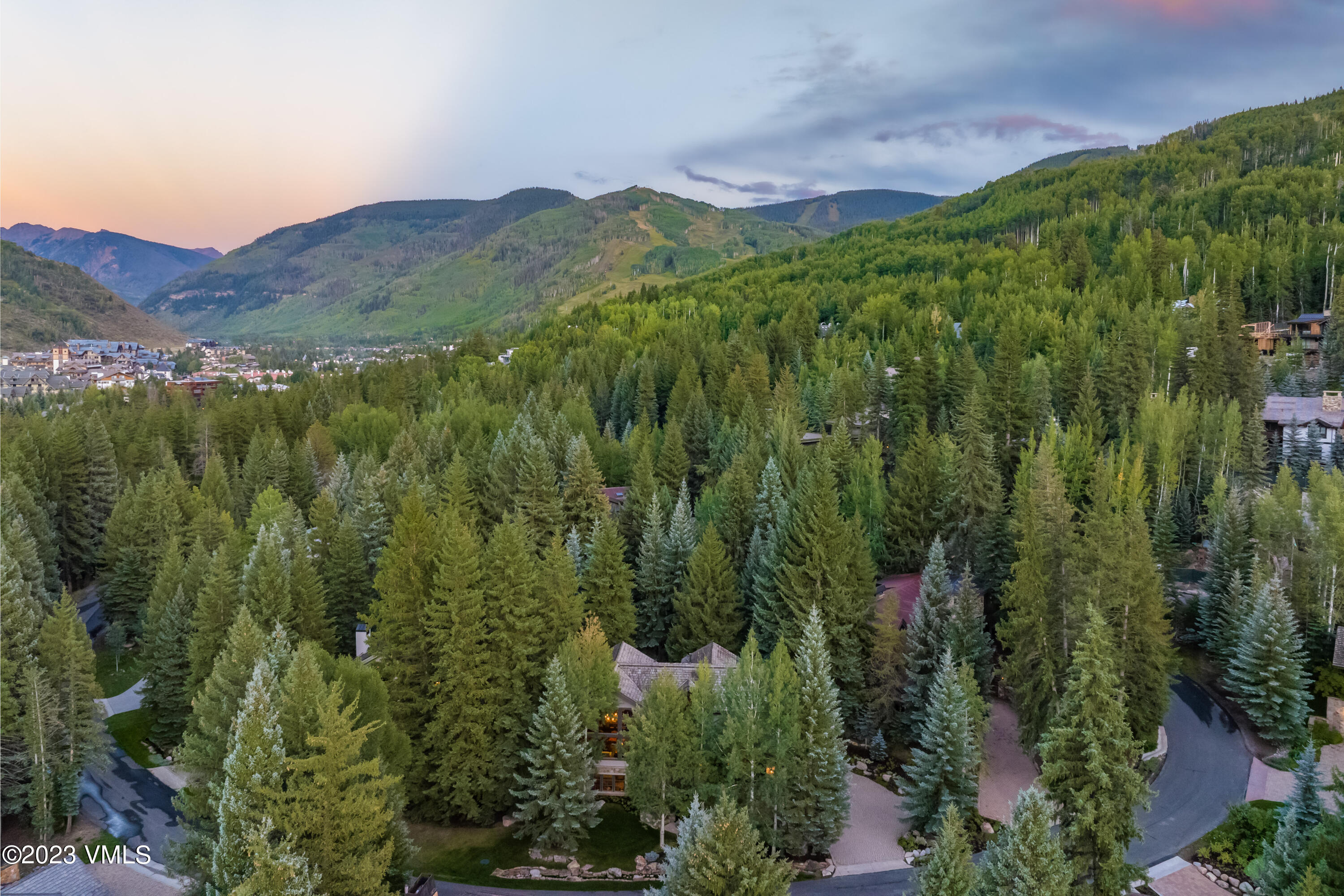 a view of a lush green forest with a mountain