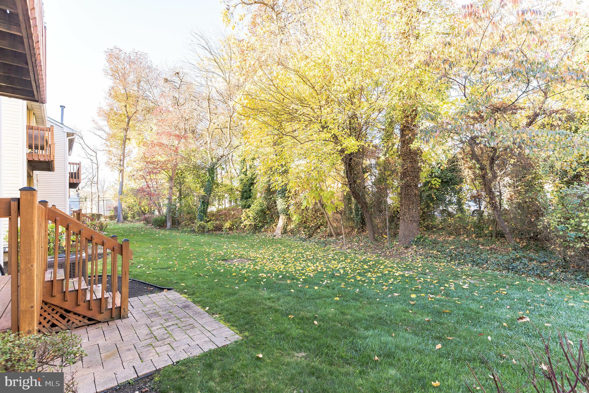 52 Eraser Road Moorestown, NJ 08057 - Photo 24 of 24 Wooded Area